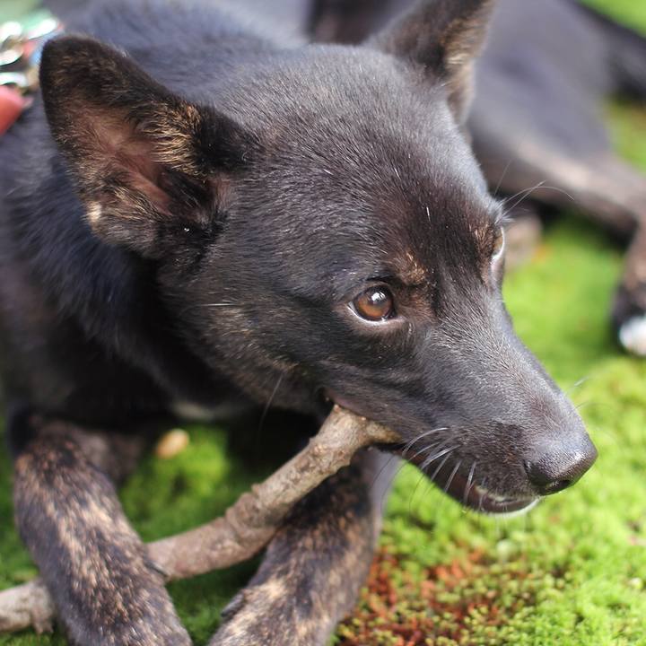 17f4d692 67b9 4e55 9141 731bce7320fc