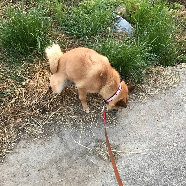 17f524e4 ba04 4981 bd7d 1d9611383651