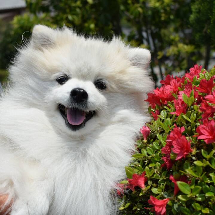 17f55519 192b 4cd3 ba5a 59e49d3cdadb