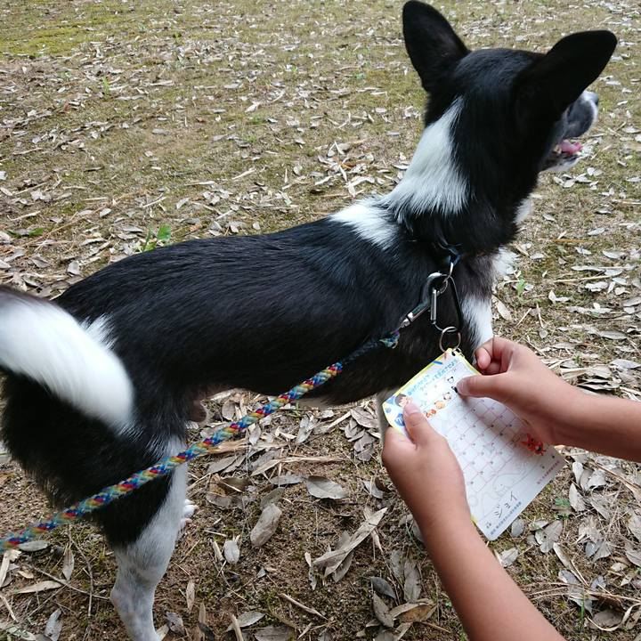 17f56ab6 2fdd 49aa b720 ebb64679119c