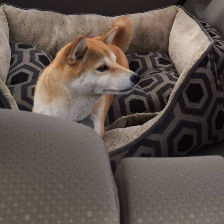 17f594af a9ec 400e b55f 7658984abcdf