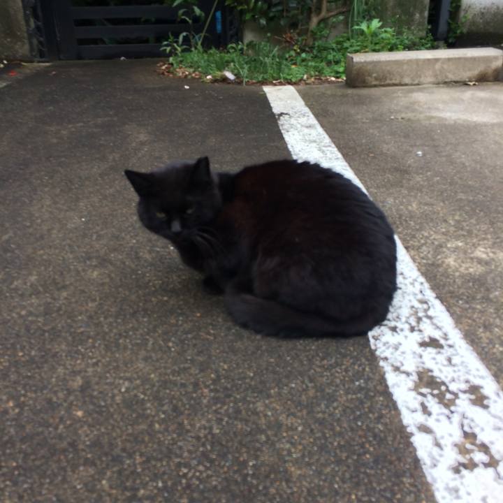 17f5a142 fb42 4aa6 b947 39d5bf7d8d26