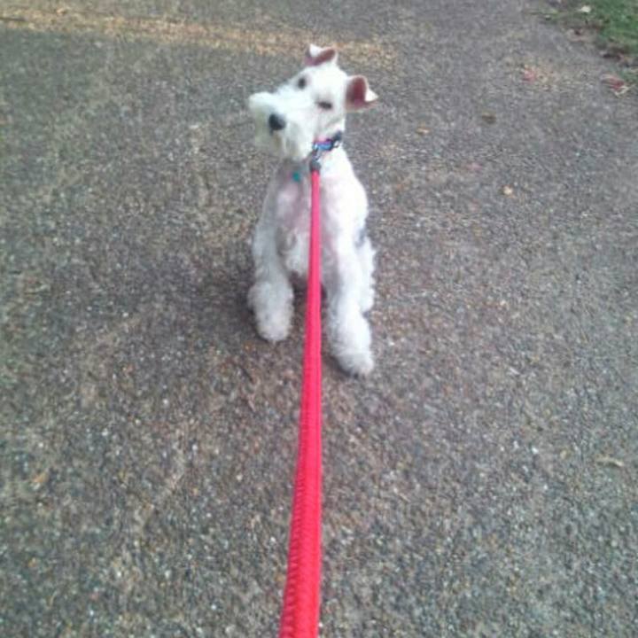 17f607e9 8ce7 43f3 91ad efaf26351cd9