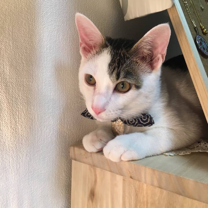 17f6563d c334 43f6 9cc8 e632b50a2935