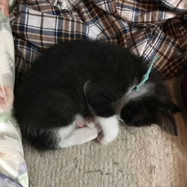 17f6662c 1ce5 4d0f 8408 10dd26fd2f93