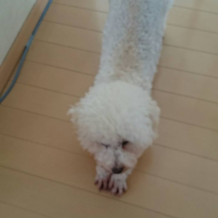 17f71083 f85f 449d b5e5 e0048c4cf16f