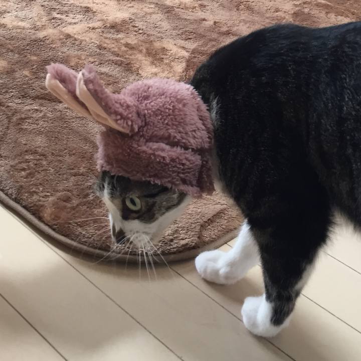 17f7a6d1 0778 4396 acc7 a43a85fe8f78