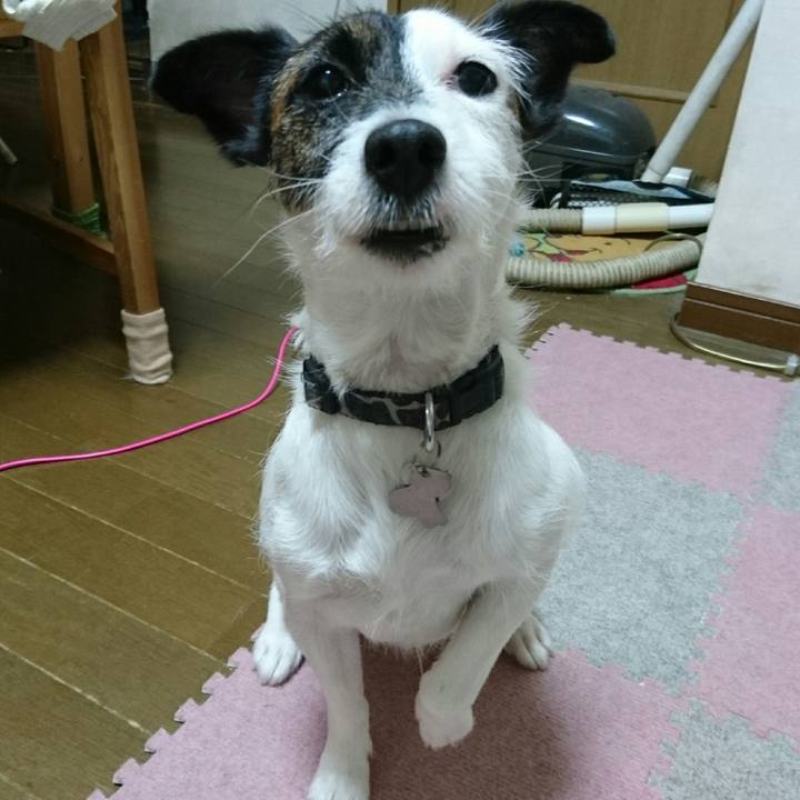 17f7dd33 de08 41eb be94 c180266cbbb3