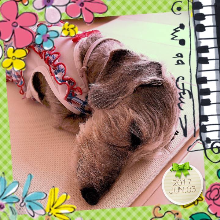 17f811f8 c97b 43a1 a425 b7ebad937869