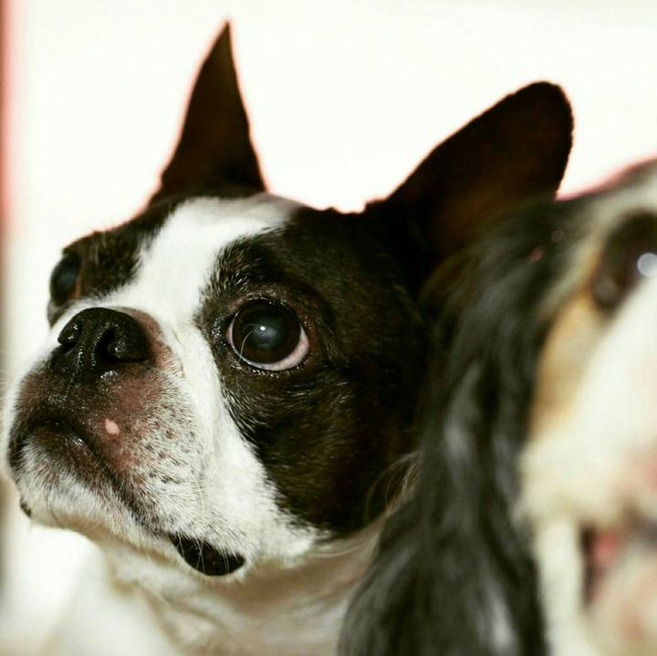 17f8248f faf4 4076 bcb0 c465c29bf6cd