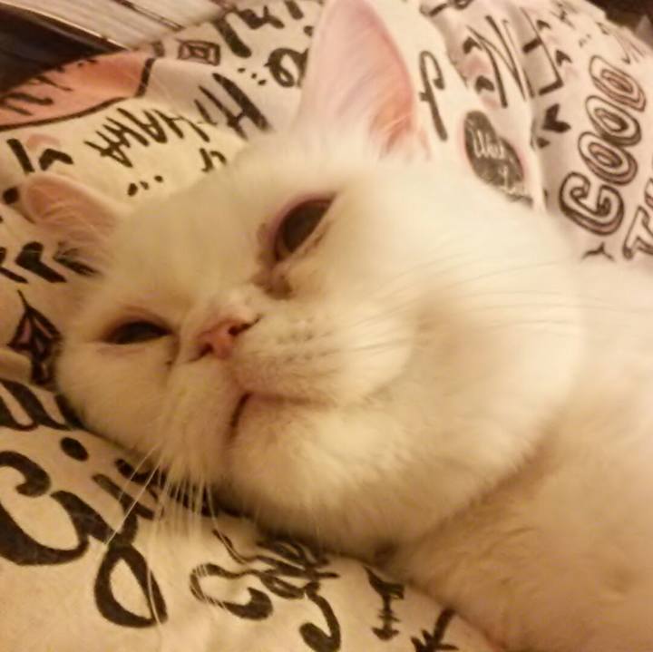 17f890bc e470 4887 a4a2 d34897eaa02f