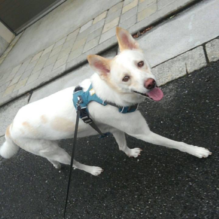 17f8db76 65b6 40ad 9958 56aa6fd71221