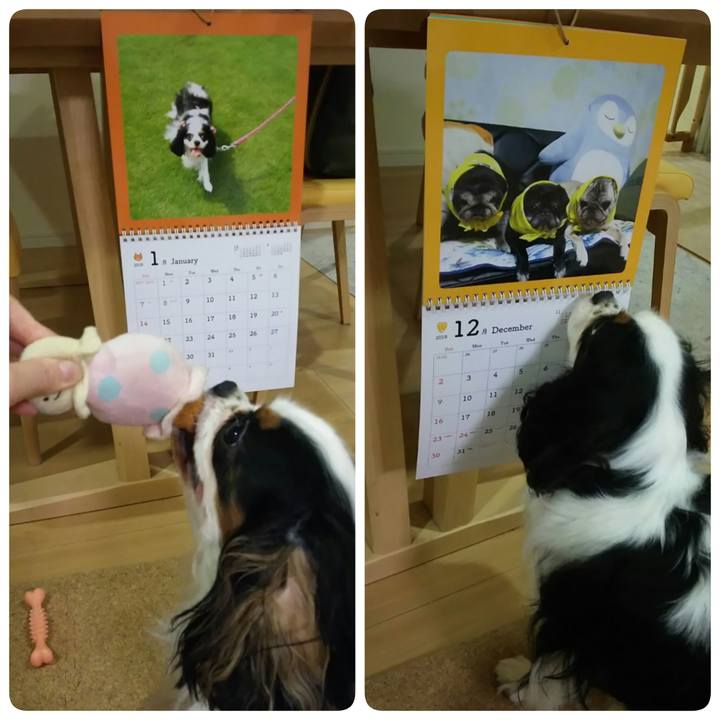 17f92d72 d80e 4345 826a 5224811c14de