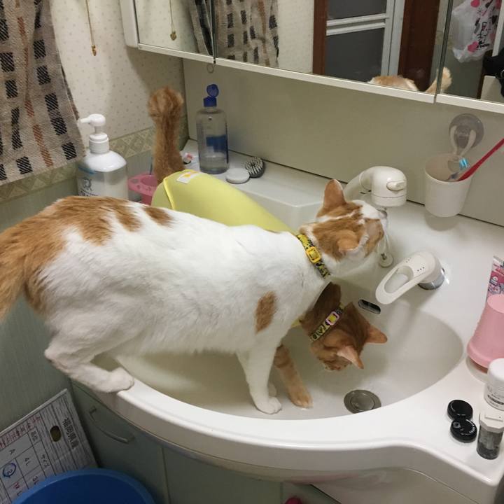 17f9363c 65e7 4f0b a0bd a160909637b6