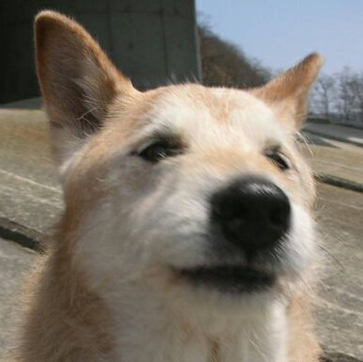 17fa03e8 2261 4e54 80e8 4579f7df4763