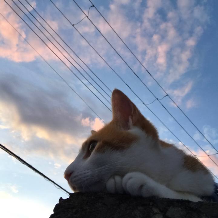 17fb5315 e484 4eb9 8ecb a682eed34aac