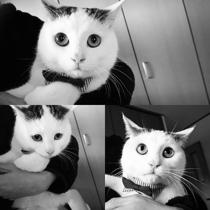 17fc54d2 ff36 4ee8 8f95 2ce423cd2b9e