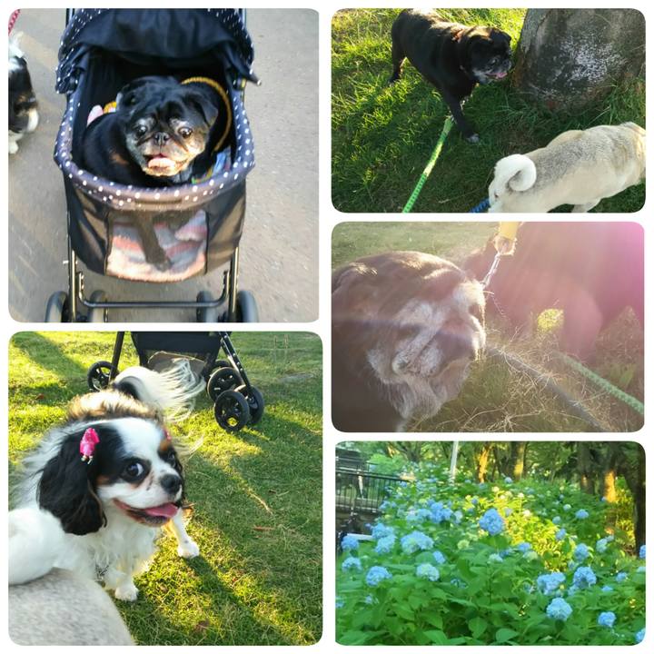 17fce802 a096 45a0 b844 b2b3c1ab7c94