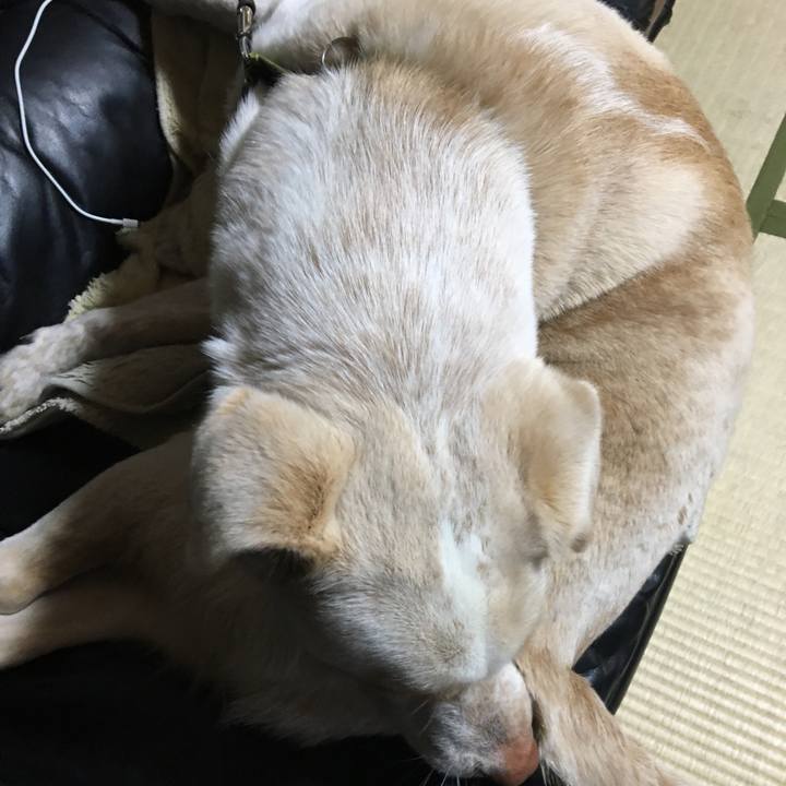 17fd01eb 9ab3 4f1f 9a33 e0d2214e9d6e