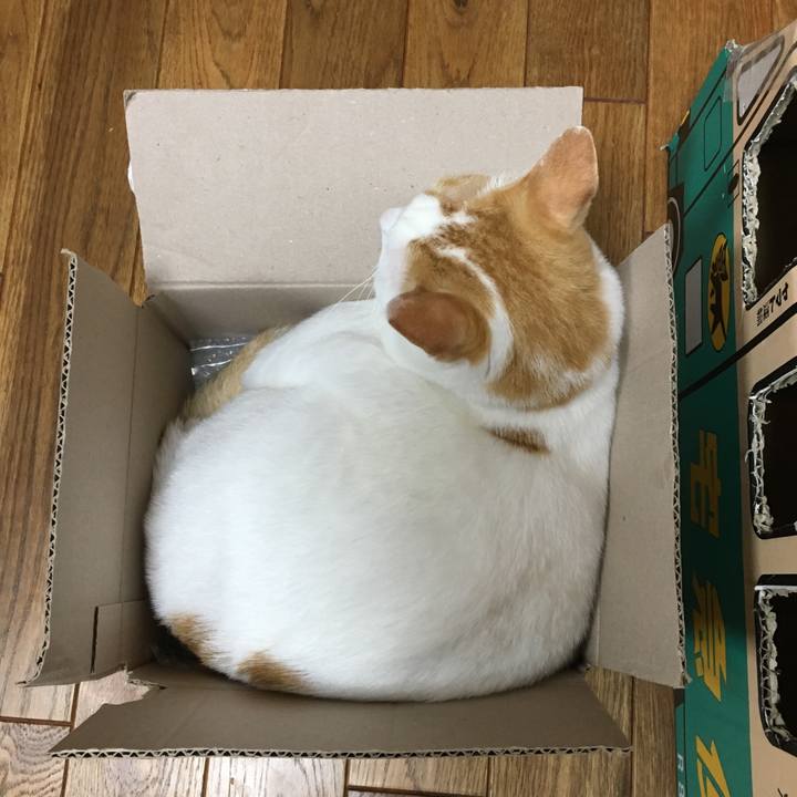 17fd3698 511c 4111 aa29 e93794add67d