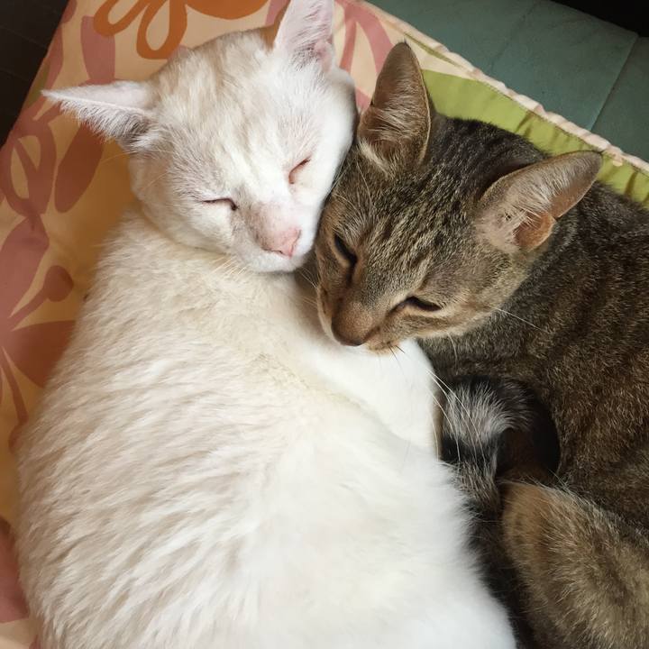 17fe0f90 0db3 42e8 88a6 5f73c44b586a