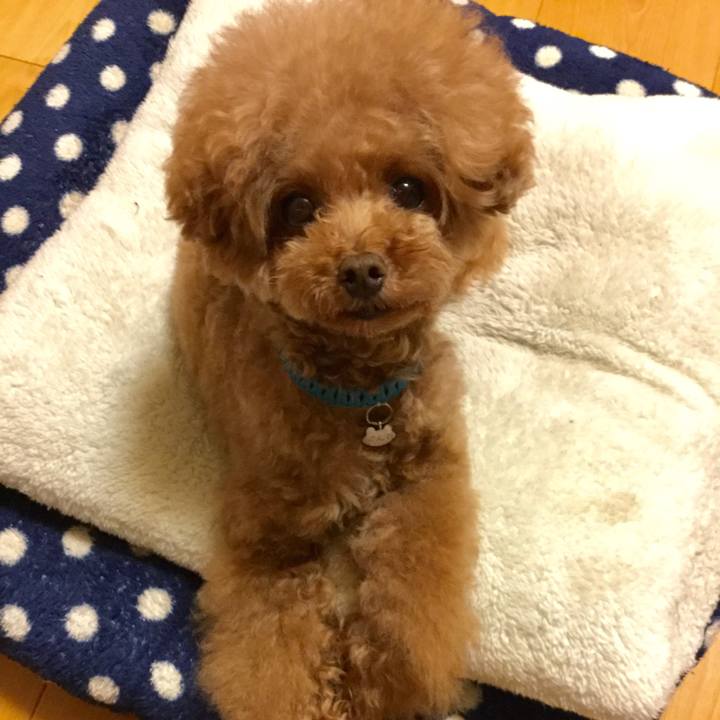 17fe501d 5a05 4530 aef0 6944aa84656b