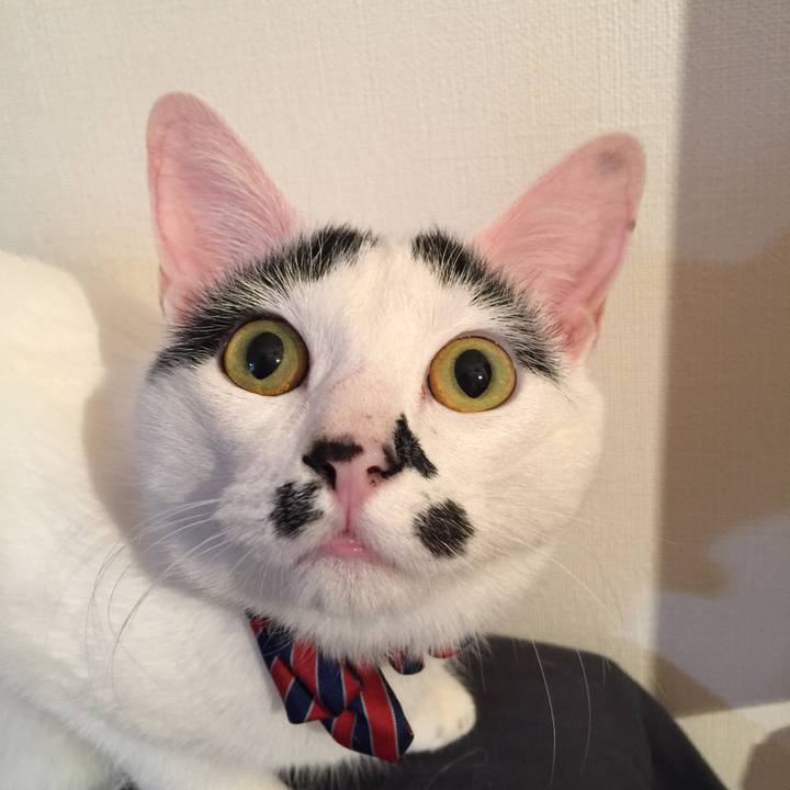 17ff6322 05a8 4986 a3d8 fb725e97135f