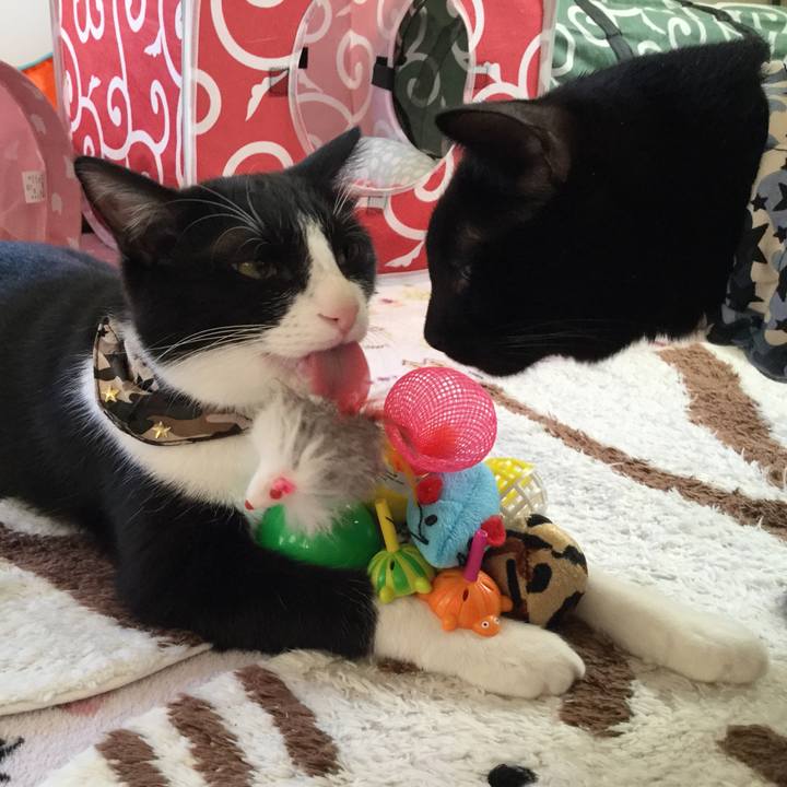 17ff7704 2784 4966 b439 529bc3968960