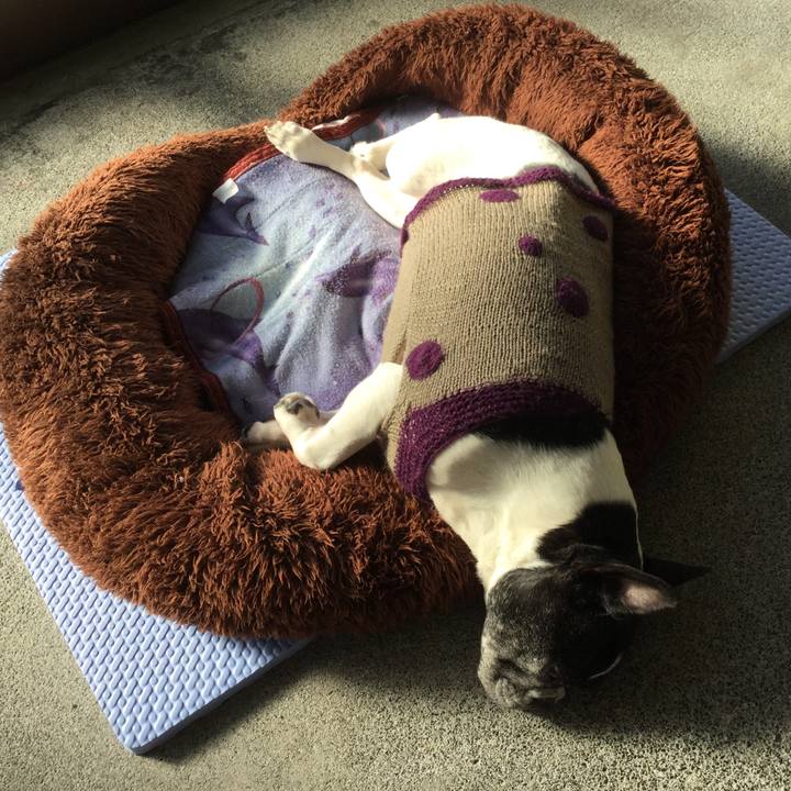 17ffb905 ff50 465e b217 f6319f90e55b