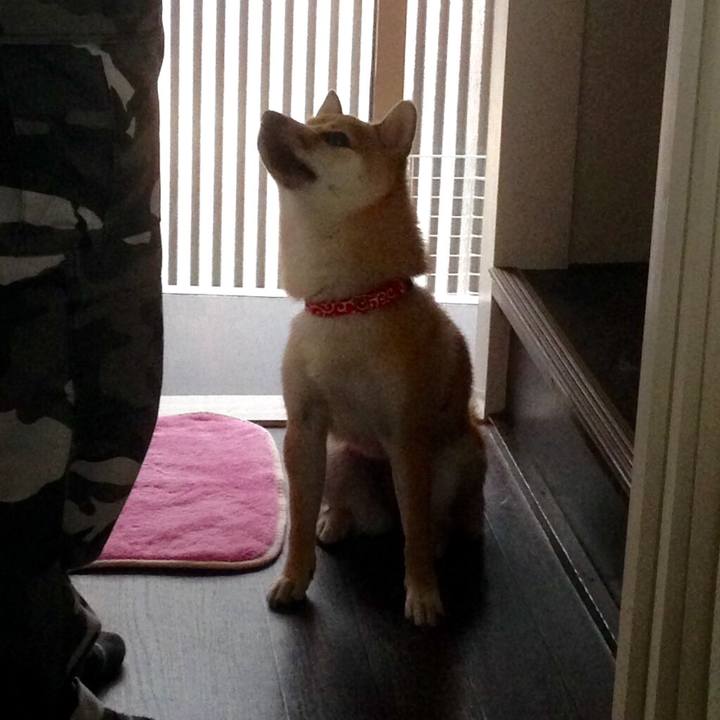 17ffc73e 5532 47f9 a088 94718bae0653