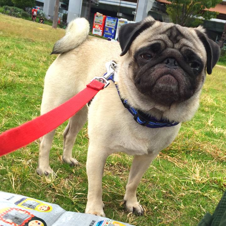 17ffd29e bacc 4812 a1da 8b02ce7dc044