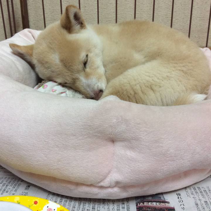 18006f20 f55c 42b2 88bb 0ee52c515657