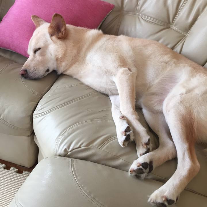 18015afc 9f49 4971 8833 e49c20dadbff