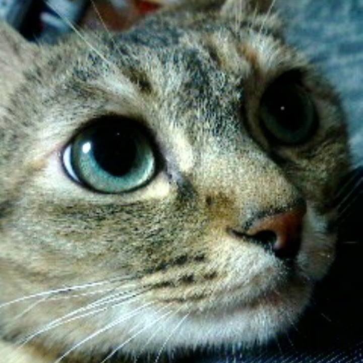 18019d66 5e29 481b b30f 35fc1116750c