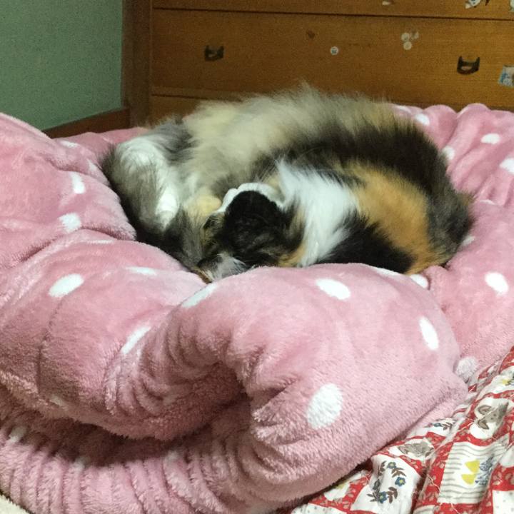 1801d79e 5b5d 4ebb b078 de8c90666324