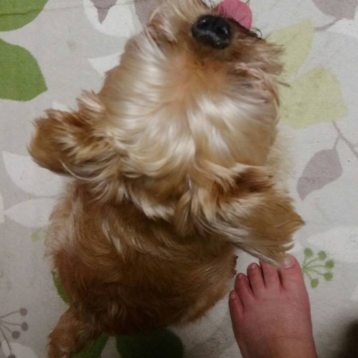 1802a6f5 85b3 45a6 835d d6fe7c1bd00c