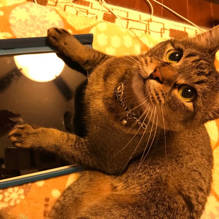 1802ef30 4ba5 4b7c 9db9 f7c38abb178c