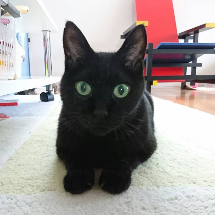 180327ef f5a5 4724 99d2 5b875037454b