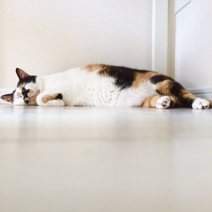 1803350e 234a 4aba bd98 f2b4c75a4bc3