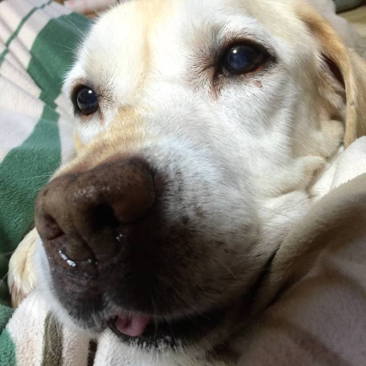 1804195e c835 4726 a2ee 0b4ea6f3b8c8