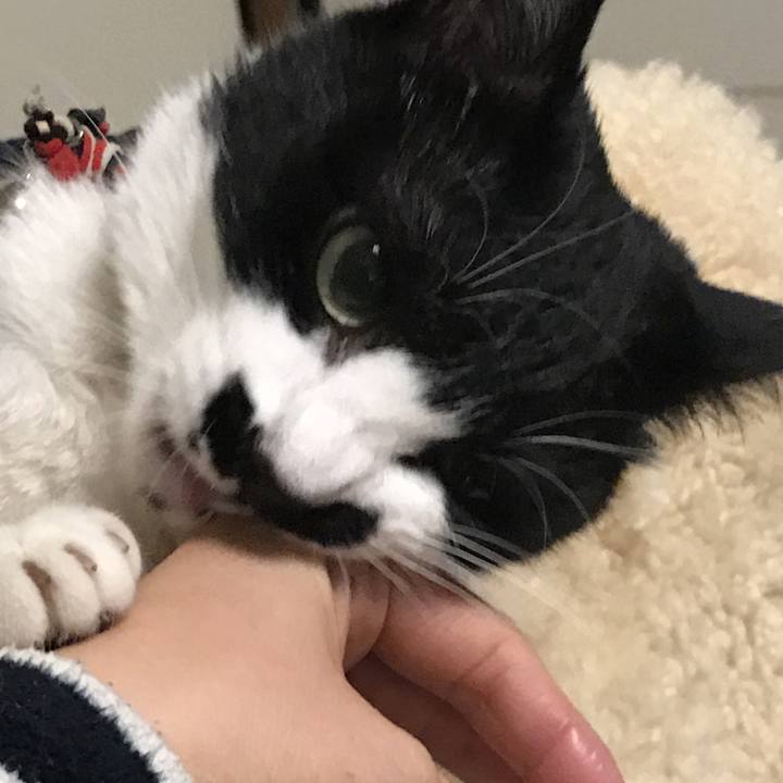 1804276c 17b0 44ee b5be 4d1dec51f2d8