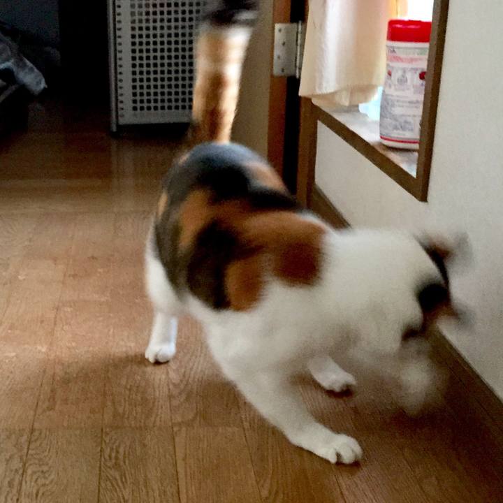 180432db fa05 4fe2 a7df 1297b50d4404