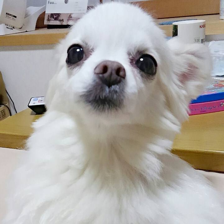 18056494 e539 4160 86df 04074f825d8a