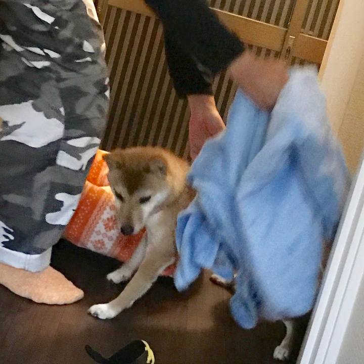 18056f3e bd65 4f29 a93e 6db403963e6b