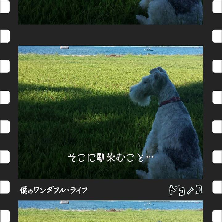 180587e4 d944 48cc b666 5306ee09f479