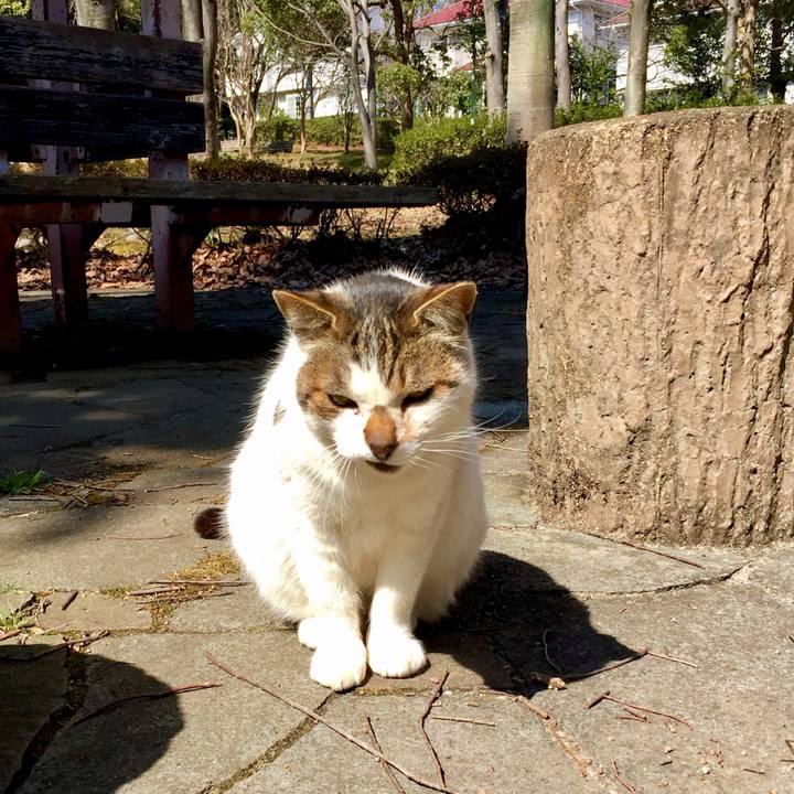 1805c1e6 adf7 4f23 8996 9813d9b30bfd