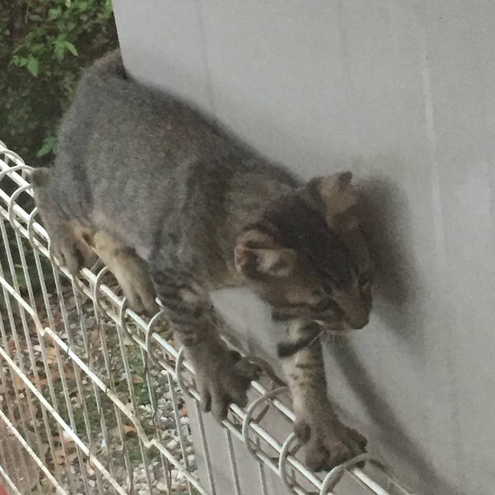 1805c3ff edcd 432d 97f8 f48c75d4319e