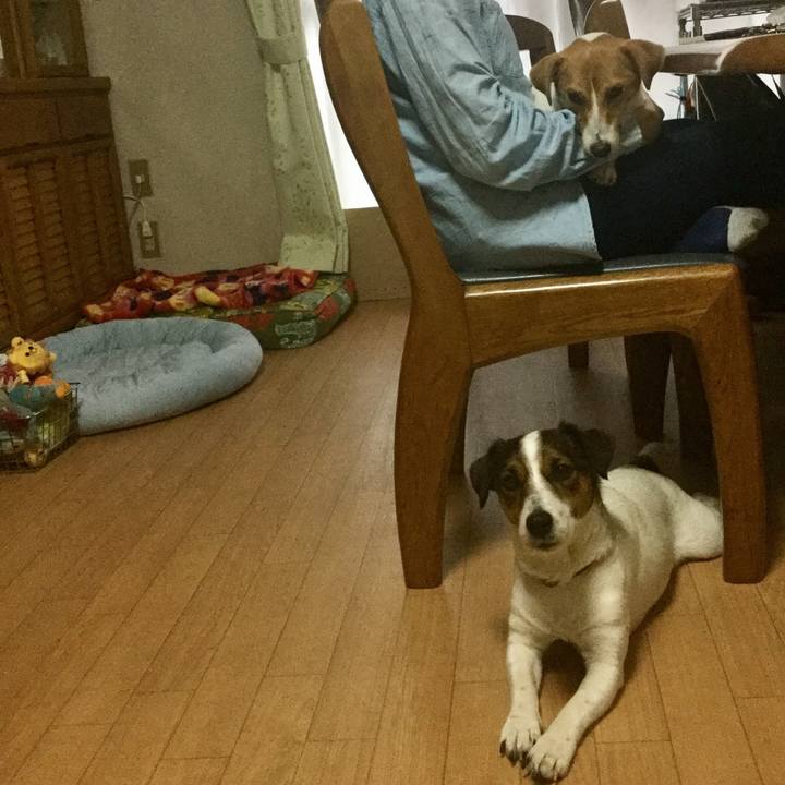 18060f40 1453 4000 a2bf 5a70409303f5