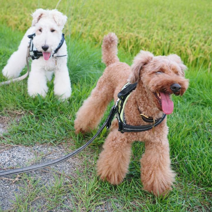 18070ae9 eac4 4884 bb7e 5b6b81ff459f