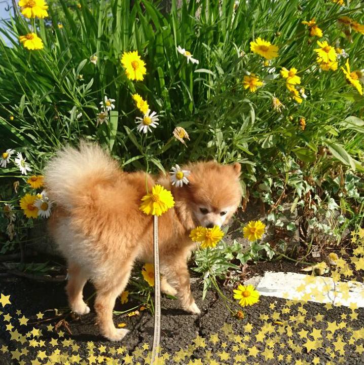 18073235 c22c 44cd 834b 4ac92be58b56